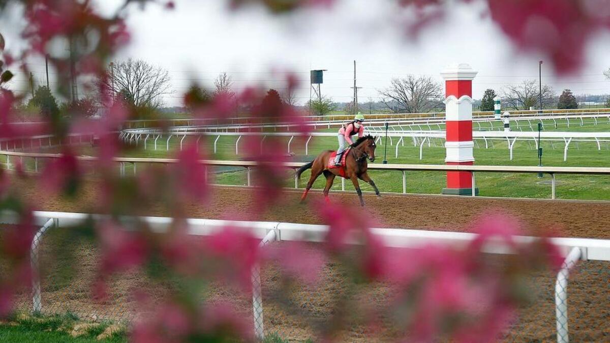 A horse worked at Keeneland Race Course on Wednesday.