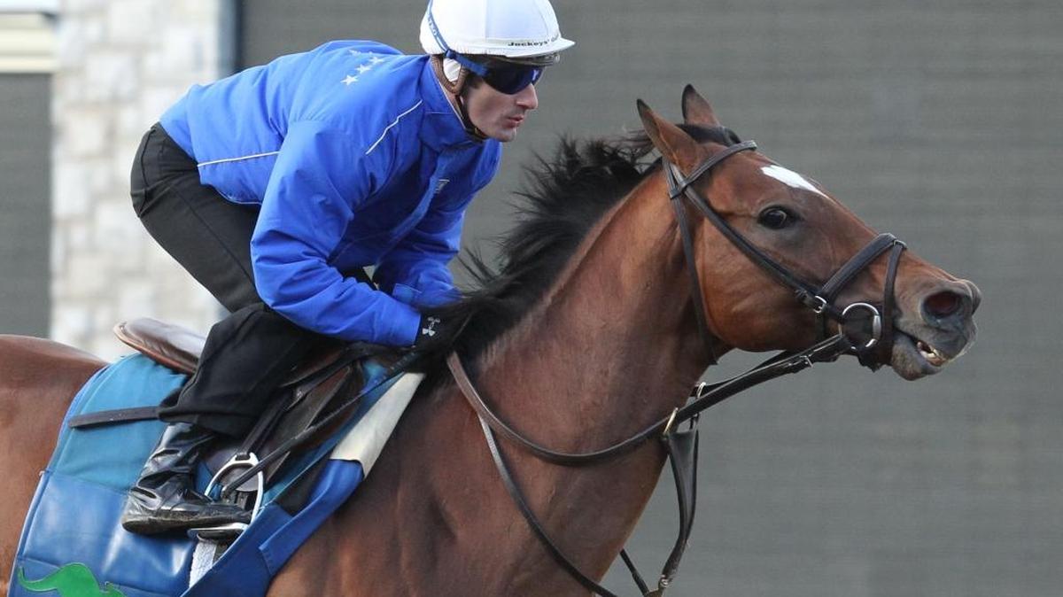 Heart to Heart worked out at Keeneland on April 8, 2016.