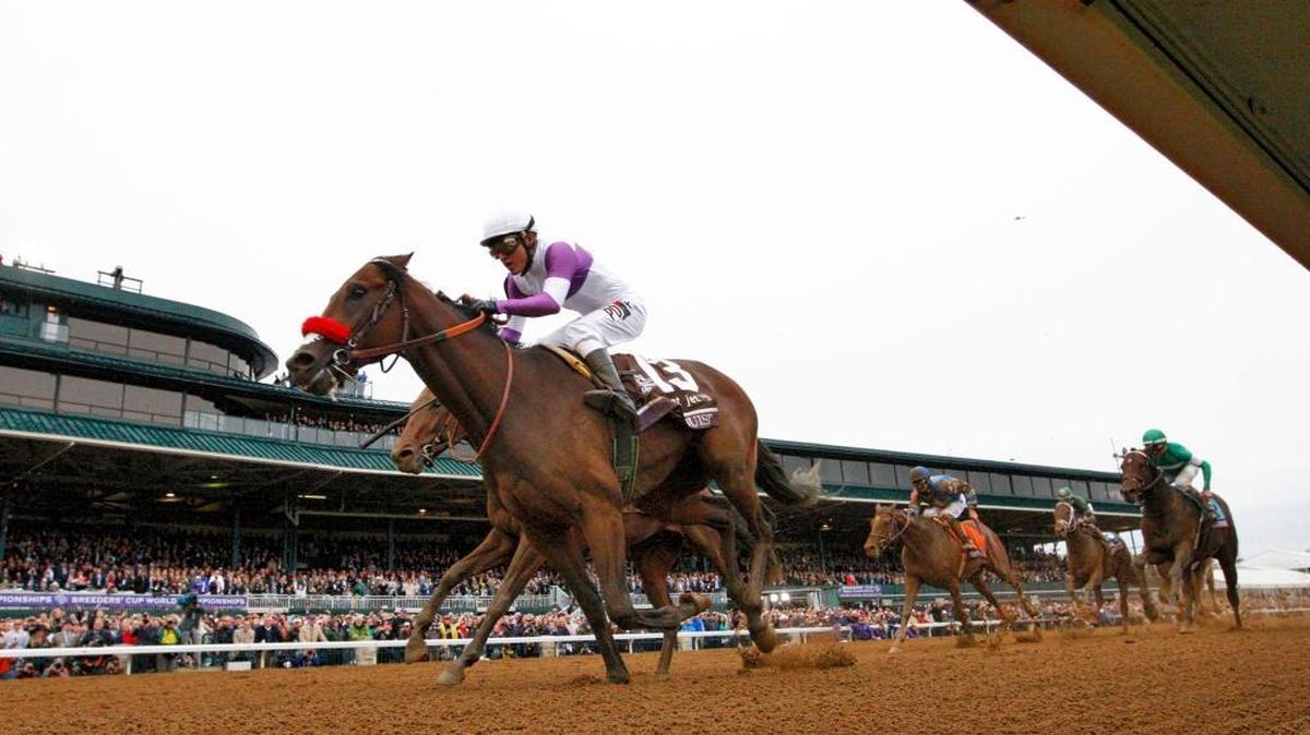 Nyquist with Mario Gutierrez up, inside, out ran Swipe and Victor Espinoza to win the Sentient Jet Breeders' Cup Juvenile at the 2015 Breeders' Cup at Keeneland Race Course Saturday October 31, 2015.