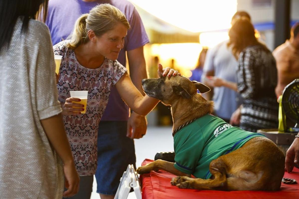 Melissa McKimmey of Lexington greeted Tech, the Lexington Legends bat dog, during Thursday night’s game at Whitaker Bank Ballpark.