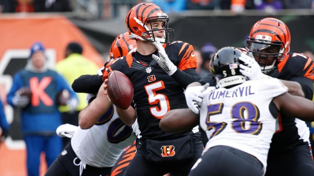 Cincinnati Bengals quarterback AJ McCarron prepared to throw in the first half game against the Baltimore Ravens on Sunday, Jan. 3, 2016, in Cincinnati.