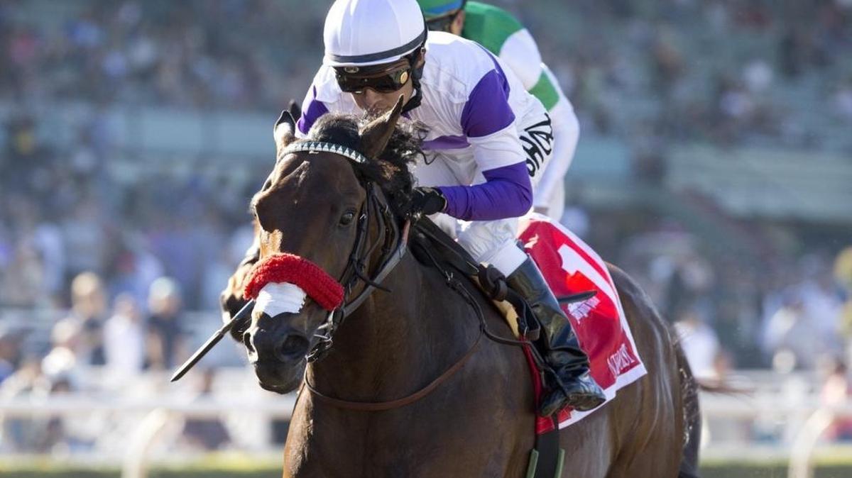 Nyquist and jockey Mario Gutierrez win the Grade II $200,000 San Vicente Stakes at Santa Anita Park in Arcadia, Calif., on Monday, Feb. 15, 2016.