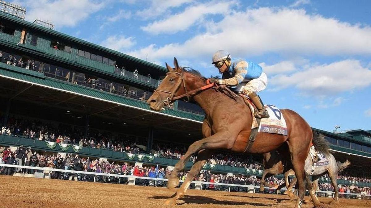 Brody’s Cause and jockey Luis Saez won the Grade I Toyota Blue Grass Stakes at Keeneland Race Course in Lexington on Saturday, April 9, 2016. The race has been downgraded to a Grade II for 2017.