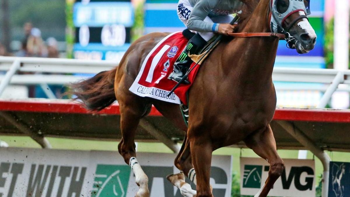 California Chrome flies down the stretch on the way to winning the 2016 Pacific Classic horse race at Del Mar Thoroughbred Club in Del Mar, Calif.