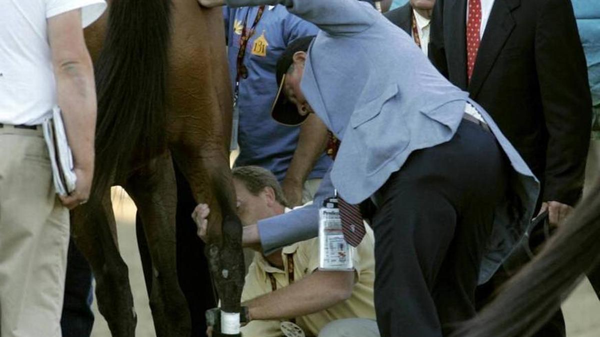 In this May 20, 2006, photo, Barbaro’s right rear leg is stabilized on the track after he broke down near the start of the Preakness Stakes at Pimlico Race Course in Baltimore. At right is Barbaro’s trainer Michael Matz.