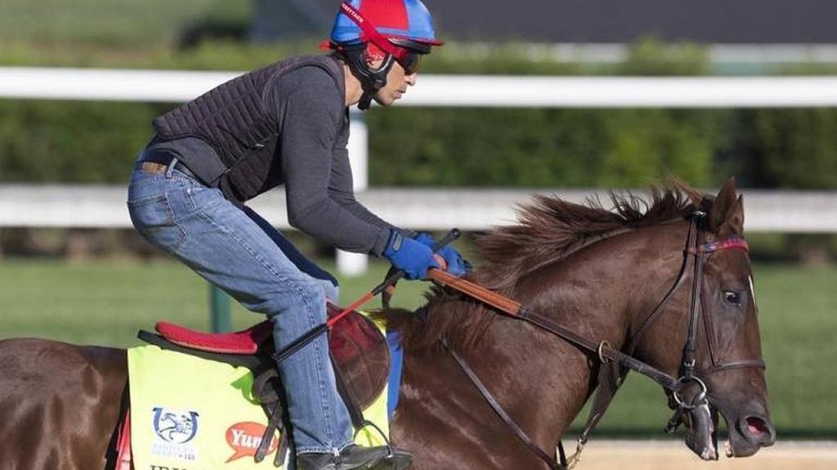 Irish War Cry runs on the track during the Tuesday morning workout session at Churchill Downs on May 2, 2017 in preparation for the Kentucky Derby. The Wood Memorial winner, who ran second in the Belmont Stakes, is the morning line favorite for Sunday’s Haskell Invitational at Monmouth Park.