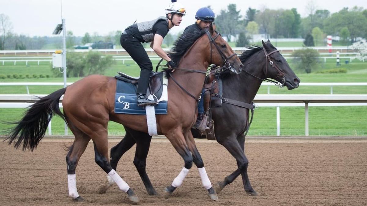 Practical Joke, who worked at Keeneland on Friday April 21, 2017 in Lexington, Ky., is scheduled to move to Churchill Downs on Monday. The Blue Grass Stakes runner-up is trained by Chad Brown.
