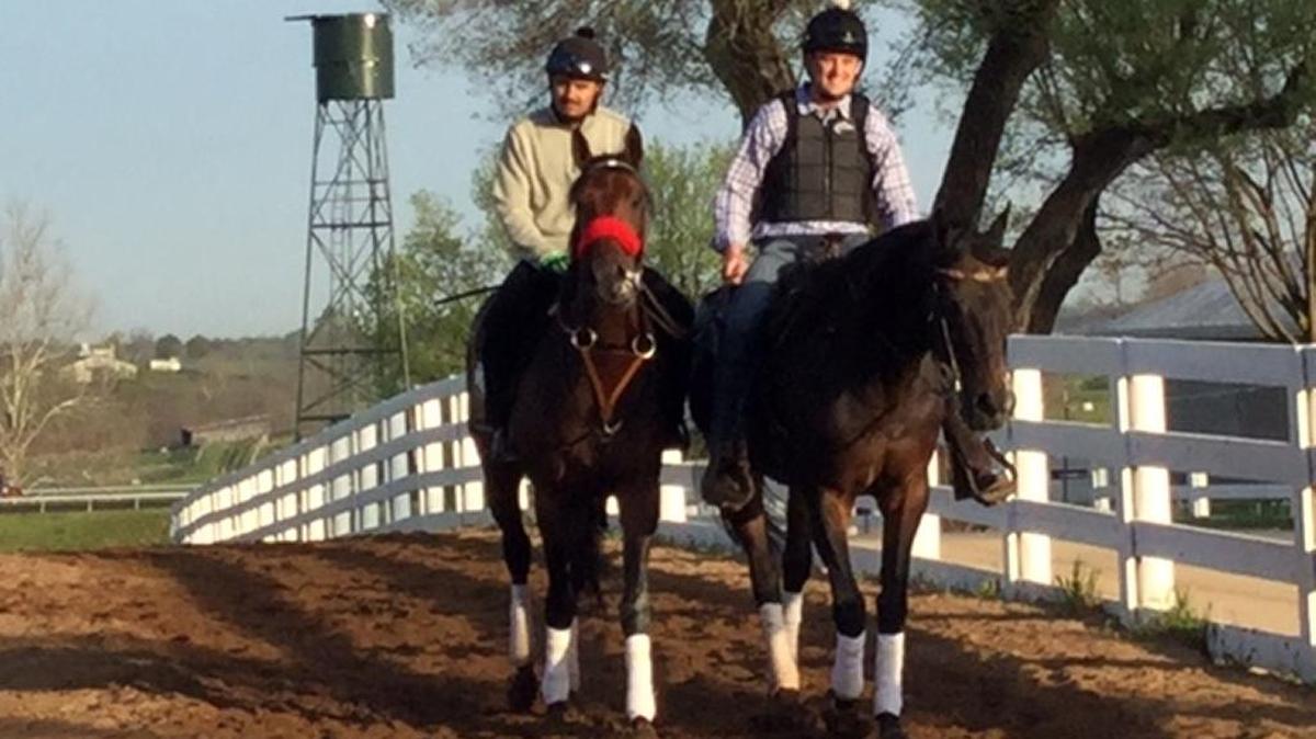 Nyquist, with red shadowroll, leaves the track Tuesday morning after a jog at Keeneland.