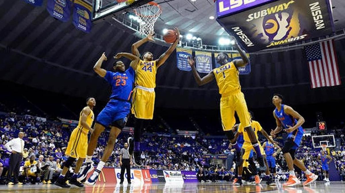 LSU freshman forward Wayde Sims (44) pulls in a rebound in front of Florida forward Justin Leon (23) during the Tigers’ 106-71 loss to the Gators on Wednesday, Jan. 25, 2017, in Baton Rouge, La.